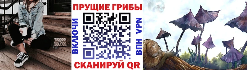OMG сайт Любим Галлюциногенные грибы Psilocybine cubensis